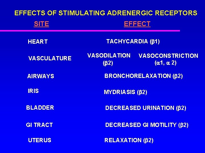 EFFECTS OF STIMULATING ADRENERGIC RECEPTORS SITE HEART VASCULATURE EFFECT TACHYCARDIA ( 1) VASODILATION (