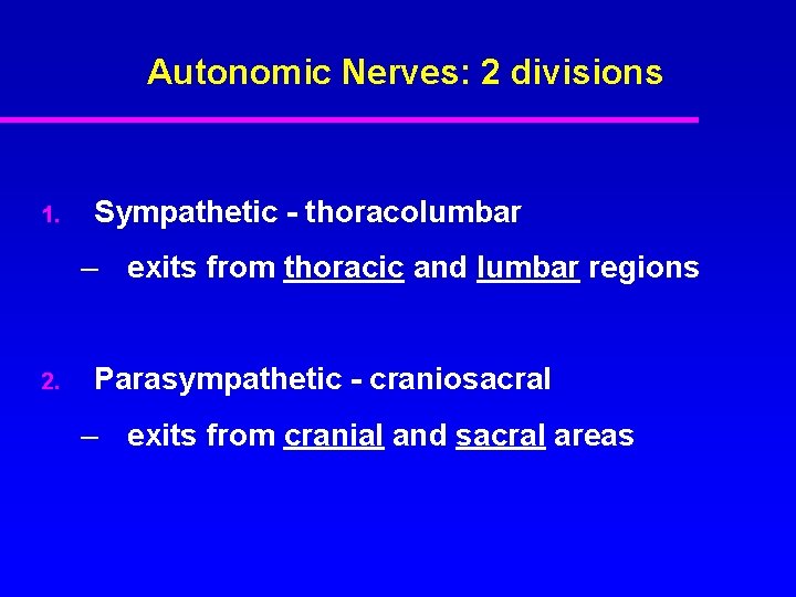 Autonomic Nerves: 2 divisions 1. Sympathetic - thoracolumbar – exits from thoracic and lumbar
