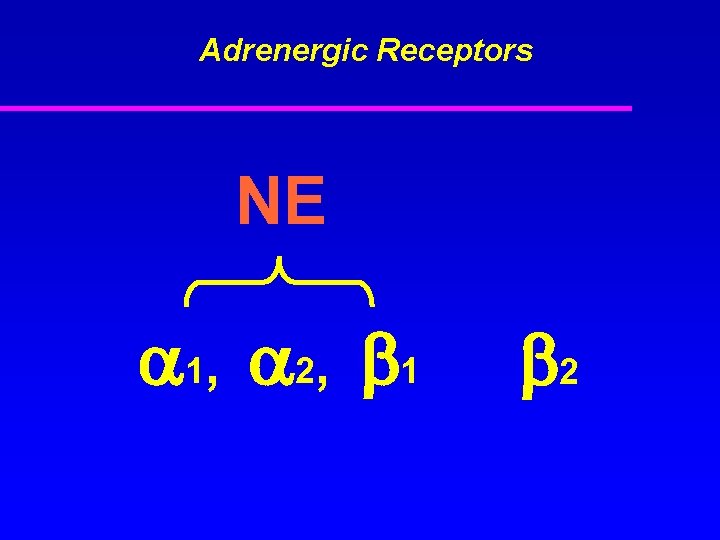 Adrenergic Receptors NE 1, 2, 1 2 