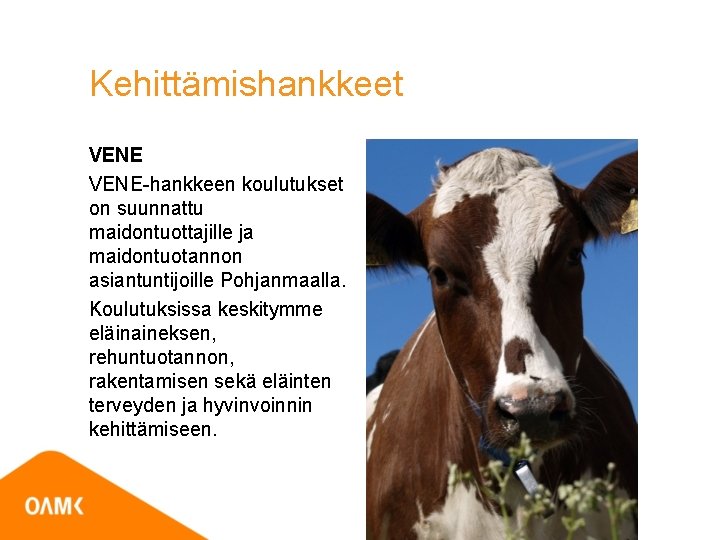 Kehittämishankkeet VENE-hankkeen koulutukset on suunnattu maidontuottajille ja maidontuotannon asiantuntijoille Pohjanmaalla. Koulutuksissa keskitymme eläinaineksen, rehuntuotannon,