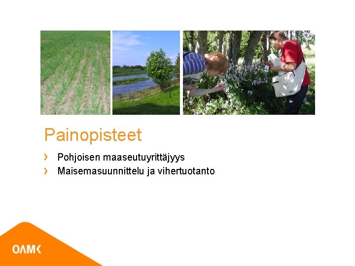 Painopisteet Pohjoisen maaseutuyrittäjyys Maisemasuunnittelu ja vihertuotanto 