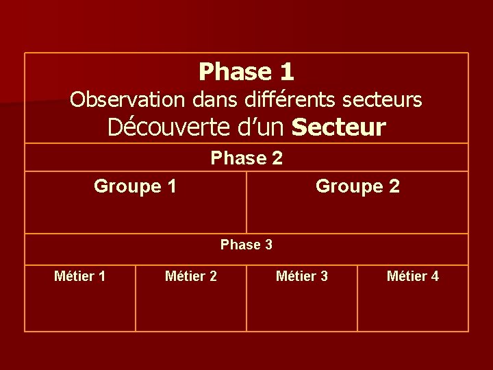 Phase 1 Observation dans différents secteurs Découverte d’un Secteur Phase 2 Groupe 1 Groupe