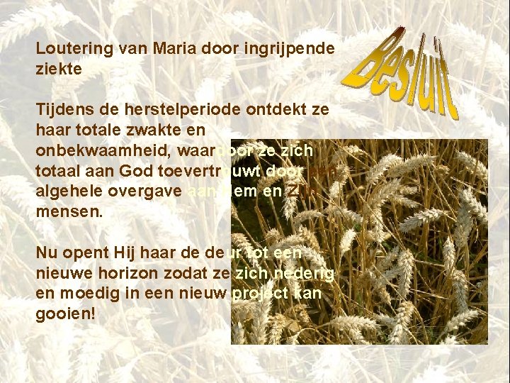 VIER ETAPPES IN HET LEVEN VAN MARIA MAZZARELLO