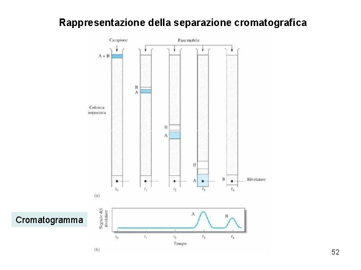 Rappresentazione della separazione cromatografica Cromatogramma 52 