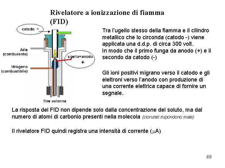 - Rivelatore a ionizzazione di fiamma (FID) + Tra l’ugello stesso della fiamma e