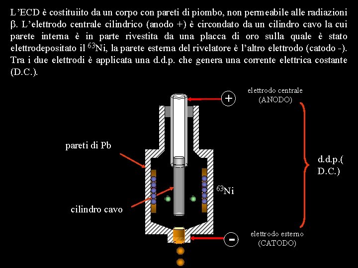 L’ECD è costituiito da un corpo con pareti di piombo, non permeabile alle radiazioni