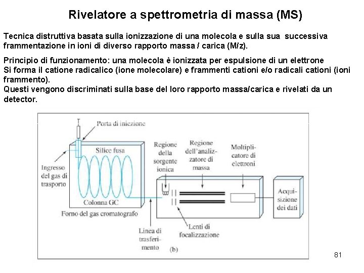 Rivelatore a spettrometria di massa (MS) Tecnica distruttiva basata sulla ionizzazione di una molecola