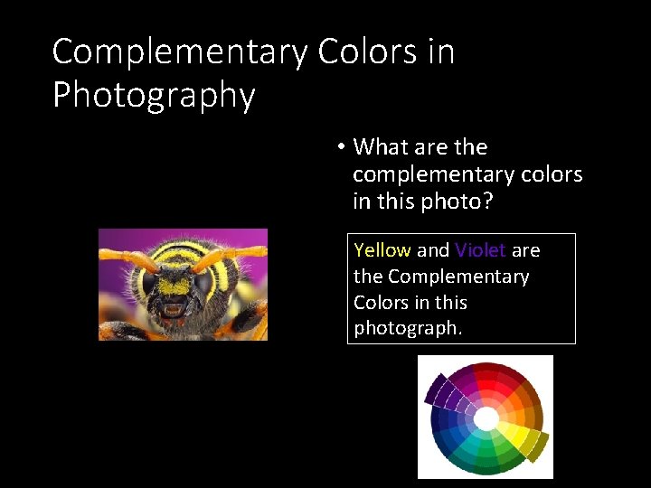 Complementary Colors in Photography • What are the complementary colors in this photo? Yellow