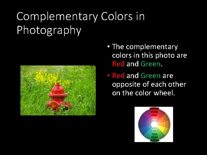 Complementary Colors in Photography • The complementary colors in this photo are Red and