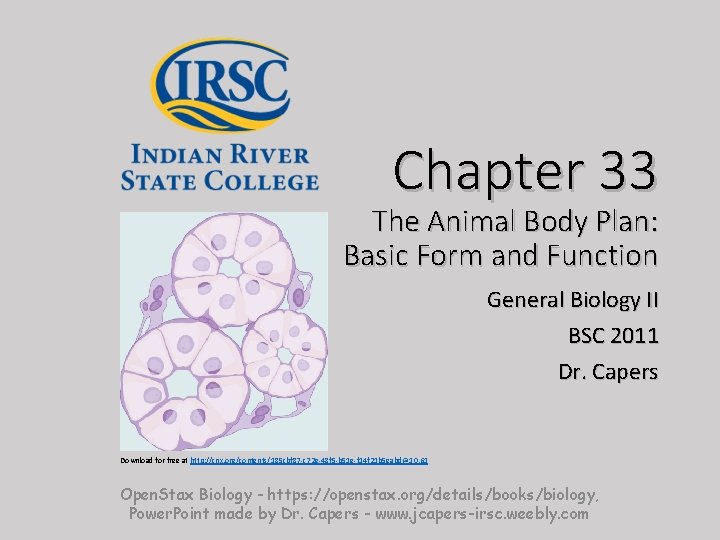 Chapter 33 The Animal Body Plan: Basic Form and Function General Biology II BSC