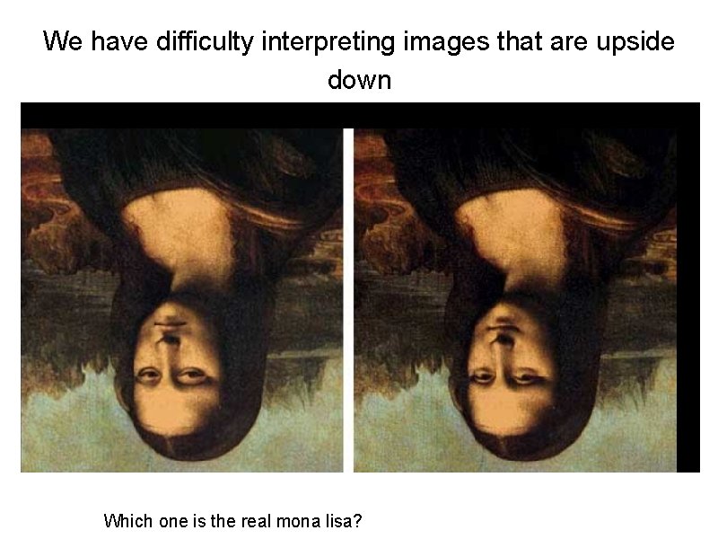 We have difficulty interpreting images that are upside down Which one is the real