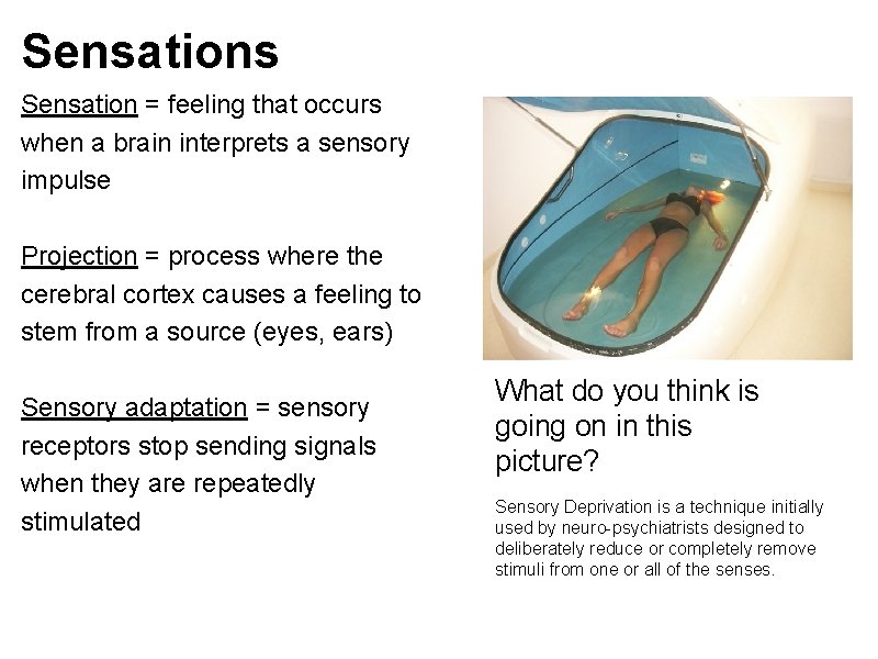 Sensations Sensation = feeling that occurs when a brain interprets a sensory impulse Projection