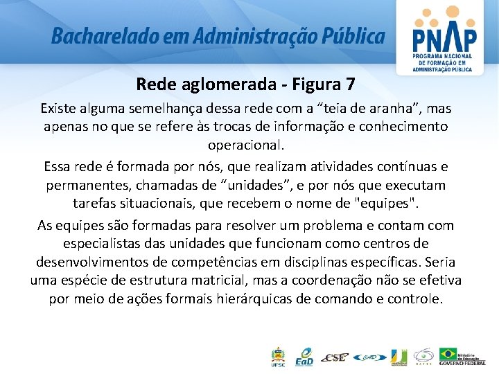 Rede aglomerada - Figura 7 Existe alguma semelhança dessa rede com a “teia de