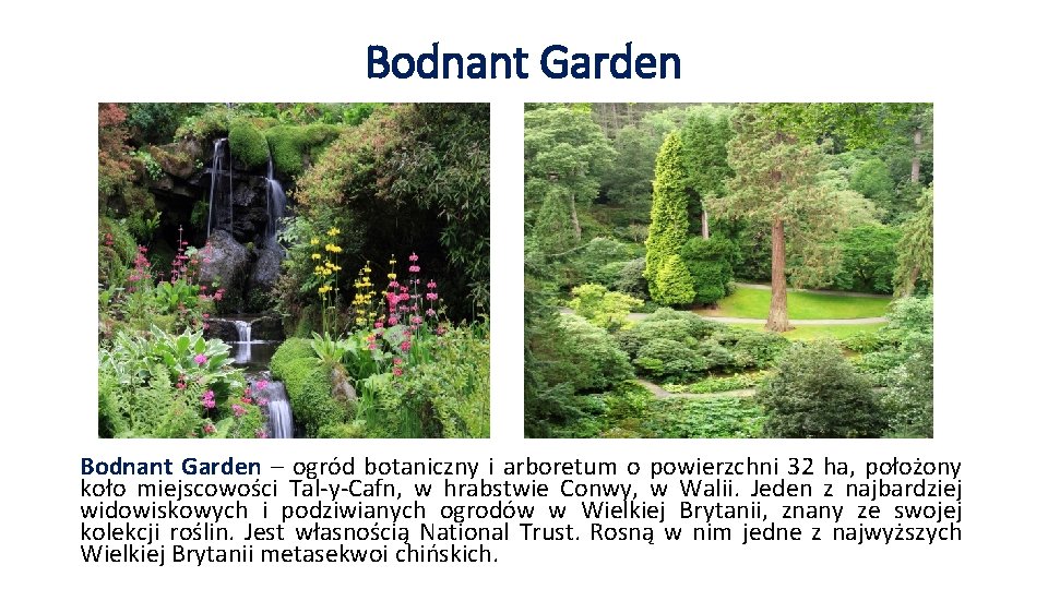 Bodnant Garden – ogród botaniczny i arboretum o powierzchni 32 ha, położony koło miejscowości