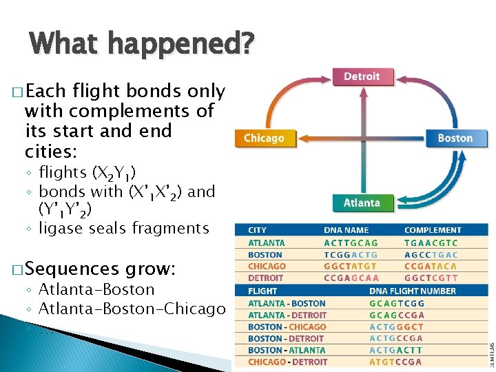 What happened? � Each flight bonds only with complements of its start and end