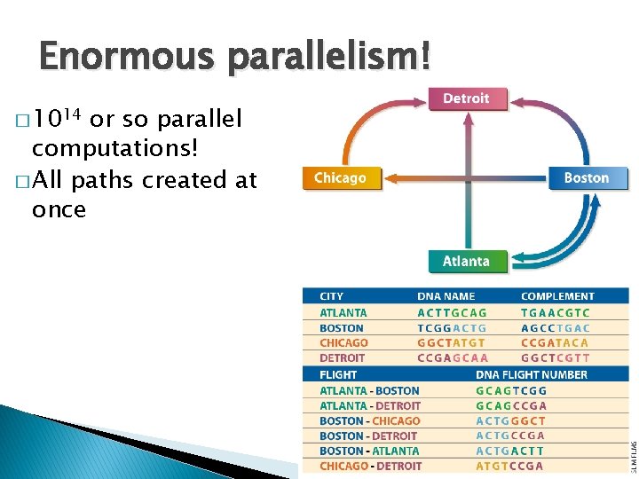 Enormous parallelism! � 1014 or so parallel computations! � All paths created at once