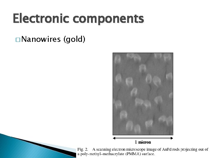 Electronic components � Nanowires (gold) 