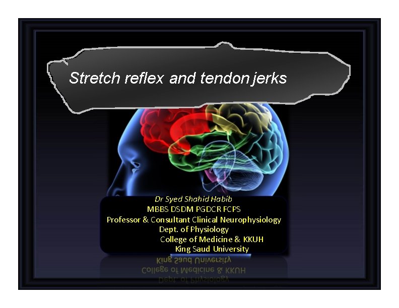 Stretch reflex and tendon jerks Dr Syed Shahid Habib MBBS DSDM PGDCR FCPS Professor