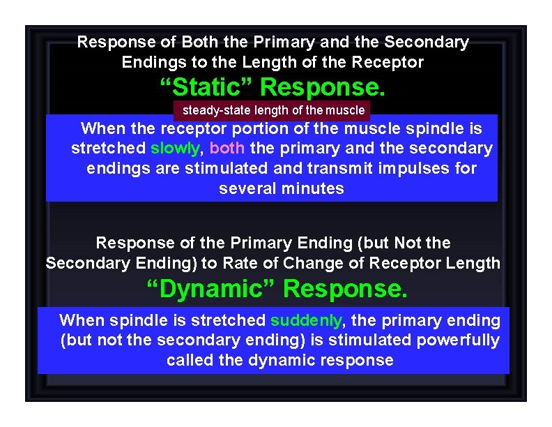 Response of Both the Primary and the Secondary Endings to the Length of the