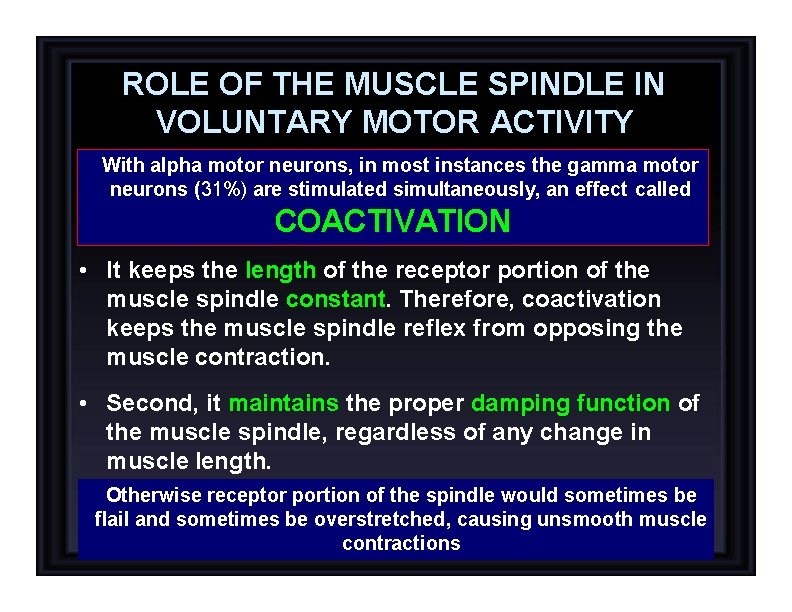 ROLE OF THE MUSCLE SPINDLE IN VOLUNTARY MOTOR ACTIVITY With alpha motor neurons, in