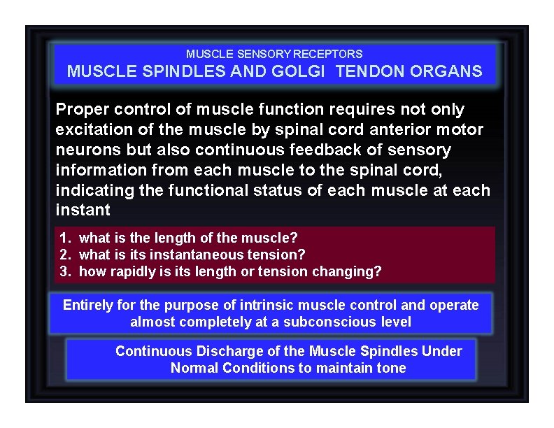 MUSCLE SENSORY RECEPTORS MUSCLE SPINDLES AND GOLGI TENDON ORGANS Proper control of muscle function