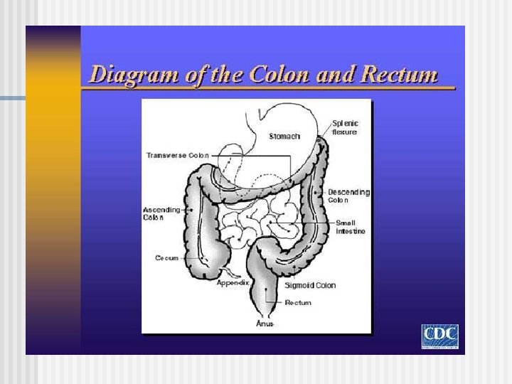 What Is Rst Colon WARM UP 524 1 2 3 4 5