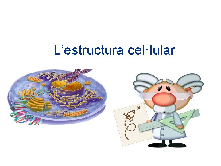 L’estructura cel·lular 