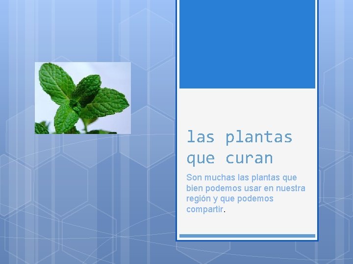 las plantas que curan Son muchas las plantas que bien podemos usar en nuestra