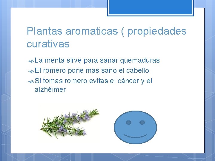 Plantas aromaticas ( propiedades curativas La menta sirve para sanar quemaduras El romero pone