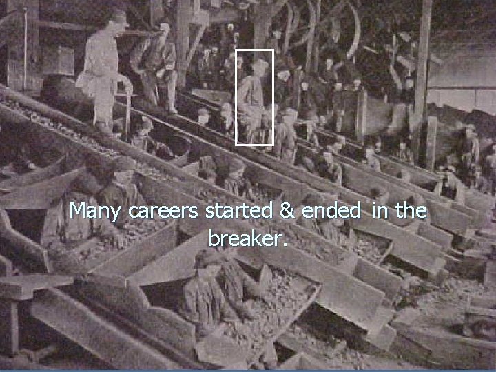 Many careers started & ended in the breaker. Many careers started & ended in the breaker.