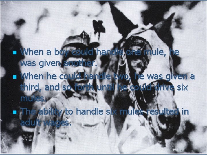 n n n When a boy could handle one mule, he was given another. n n n When a boy could handle one mule, he was given another.