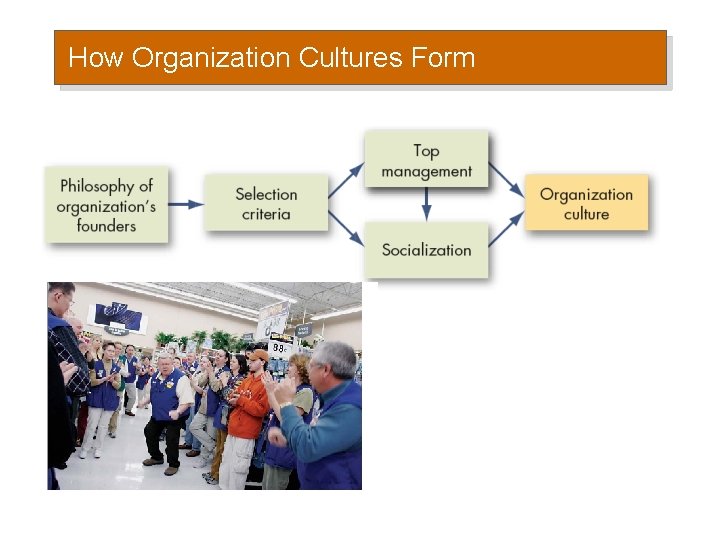 How Organization Cultures Form 