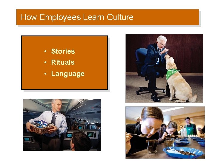 How Employees Learn Culture • Stories • Rituals • Language 