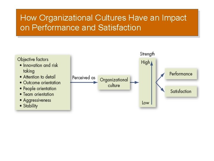 How Organizational Cultures Have an Impact on Performance and Satisfaction 