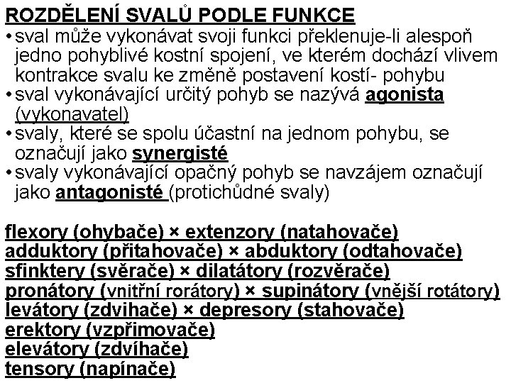 ROZDĚLENÍ SVALŮ PODLE FUNKCE • sval může vykonávat svoji funkci překlenuje-li alespoň jedno pohyblivé