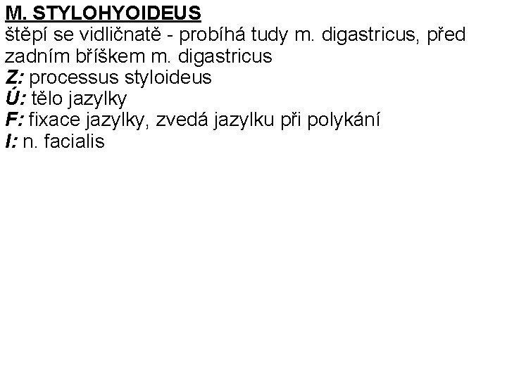 M. STYLOHYOIDEUS štěpí se vidličnatě - probíhá tudy m. digastricus, před zadním bříškem m.