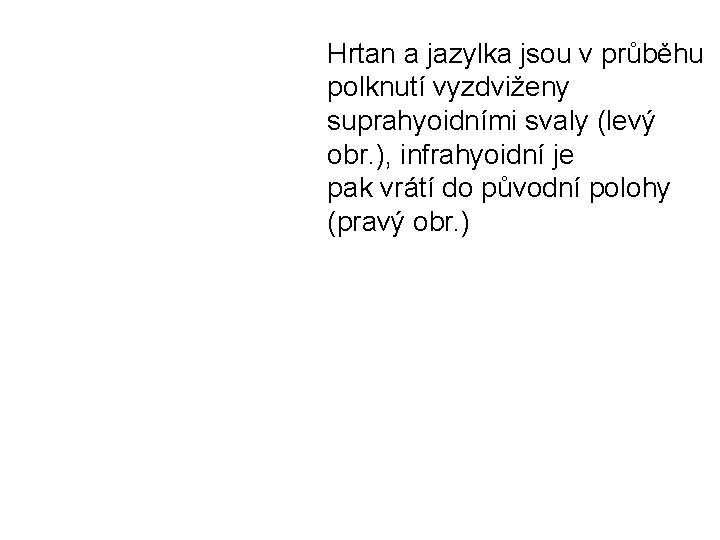 Hrtan a jazylka jsou v průběhu polknutí vyzdviženy suprahyoidními svaly (levý obr. ), infrahyoidní