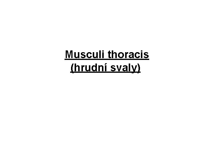 Musculi thoracis (hrudní svaly) 