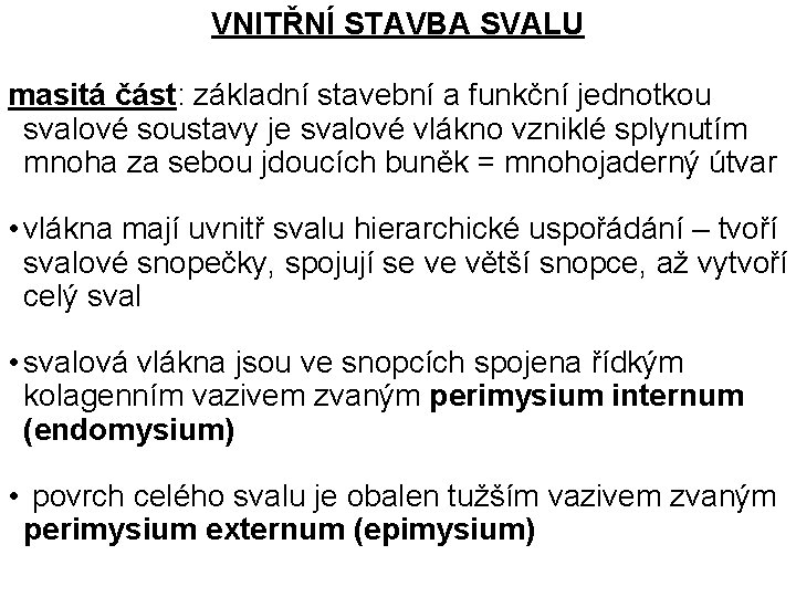 VNITŘNÍ STAVBA SVALU masitá část: základní stavební a funkční jednotkou svalové soustavy je svalové