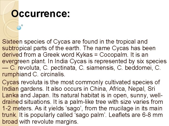 Occurrence: Sixteen species of Cycas are found in the tropical and subtropical parts of
