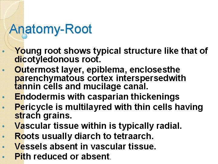 Anatomy-Root • • Young root shows typical structure like that of dicotyledonous root. Outermost