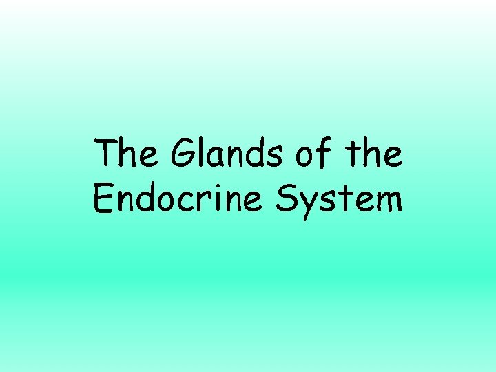The Glands of the Endocrine System 