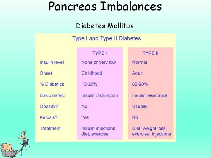 Pancreas Imbalances Diabetes Mellitus 