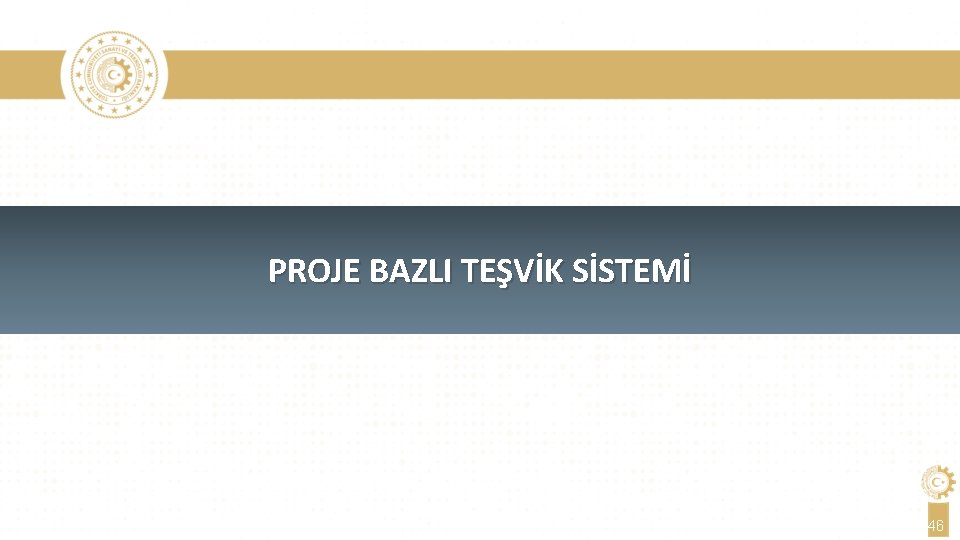 PROJE BAZLI TEŞVİK SİSTEMİ 46 