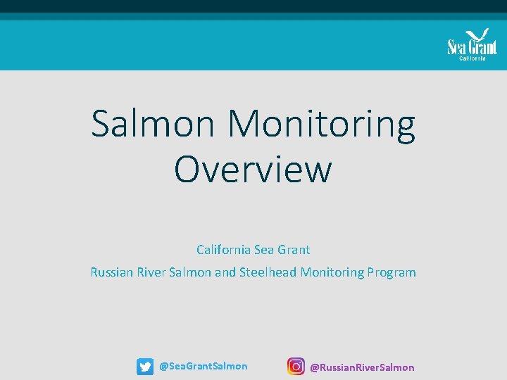 Salmon Monitoring Overview California Sea Grant Russian River Salmon and Steelhead Monitoring Program @Sea. Salmon Monitoring Overview California Sea Grant Russian River Salmon and Steelhead Monitoring Program @Sea.