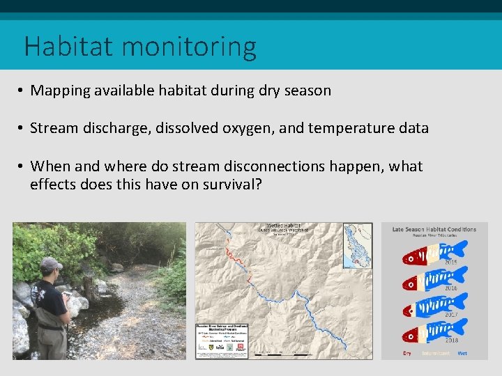 Habitat monitoring • Mapping available habitat during dry season • Stream discharge, dissolved oxygen,