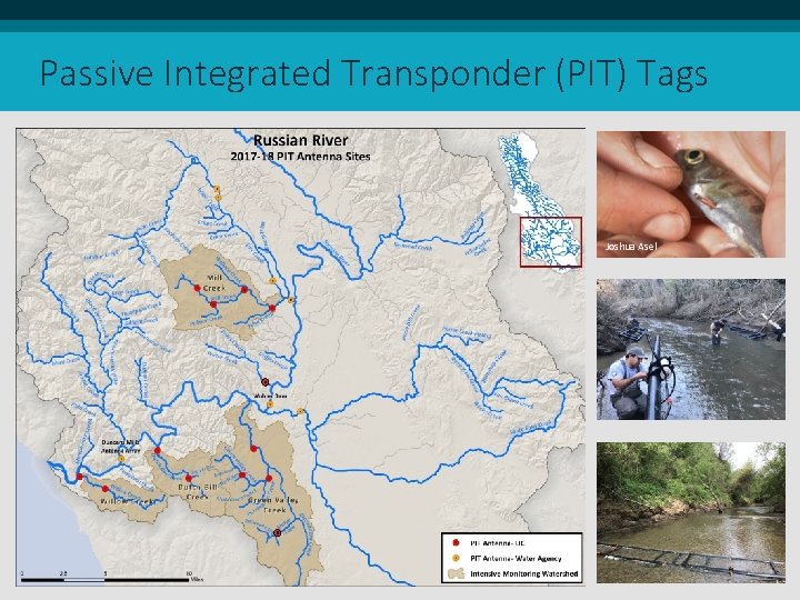 Passive Integrated Transponder (PIT) Tags Joshua Asel Passive Integrated Transponder (PIT) Tags Joshua Asel