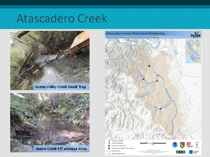 Atascadero Creek Green Valley Creek Smolt Trap Jonive Creek PIT antenna array 