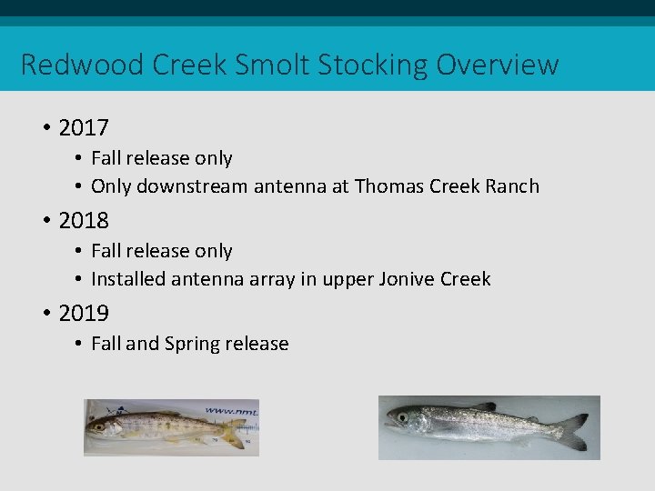 Redwood Creek Smolt Stocking Overview • 2017 • Fall release only • Only downstream