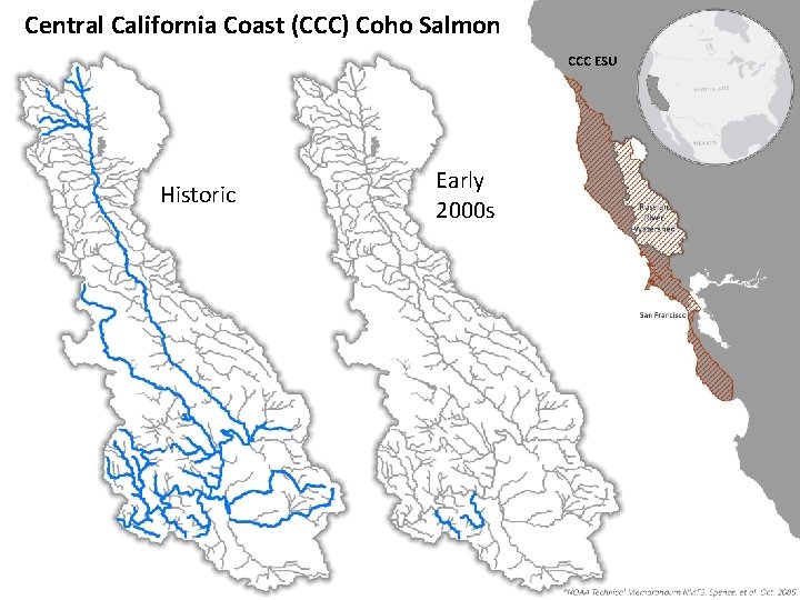 Central California Coast (CCC) Coho Salmon CCC ESU Historic Early 2000 s 